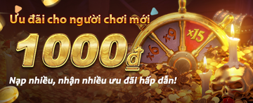 Banner 0801-VN6